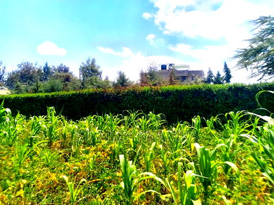 Plot For Sale Nanyuki Intrukuma - Image 4