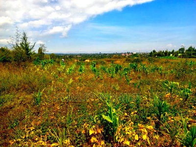 Plot For Sale Nanyuki Intrukuma - Image 5