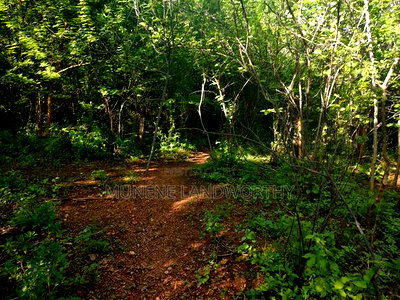 Embu County,Mutuobare Agri/Commercial Land Near the Tarmac - Image 11