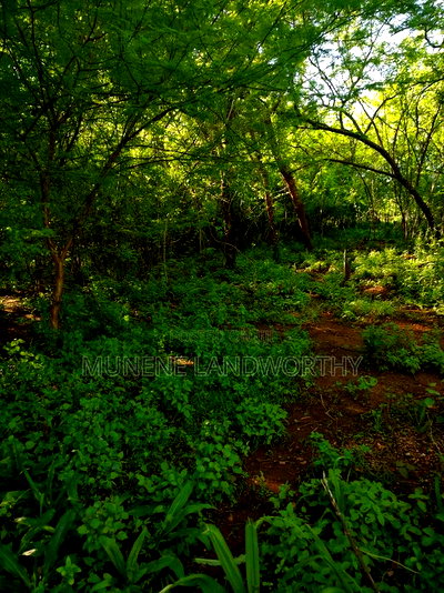 Embu County,Mutuobare Agri/Commercial Land Near the Tarmac - Image 9