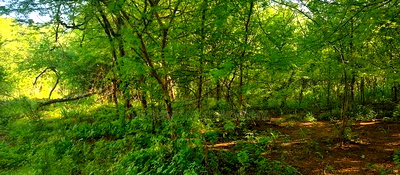 Embu County,Mutuobare Agri/Commercial Land Near the Tarmac - Image 8