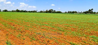 25 Acres Arable Land for Sale in Sergoit Moiben in Rldoret - Image 2
