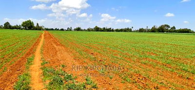 25 Acres Arable Land for Sale in Sergoit Moiben in Rldoret - Image 1
