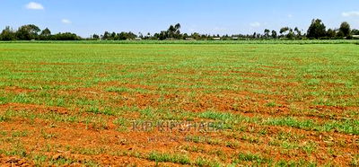 25 Acres Arable Land for Sale in Sergoit Moiben in Rldoret - Image 4