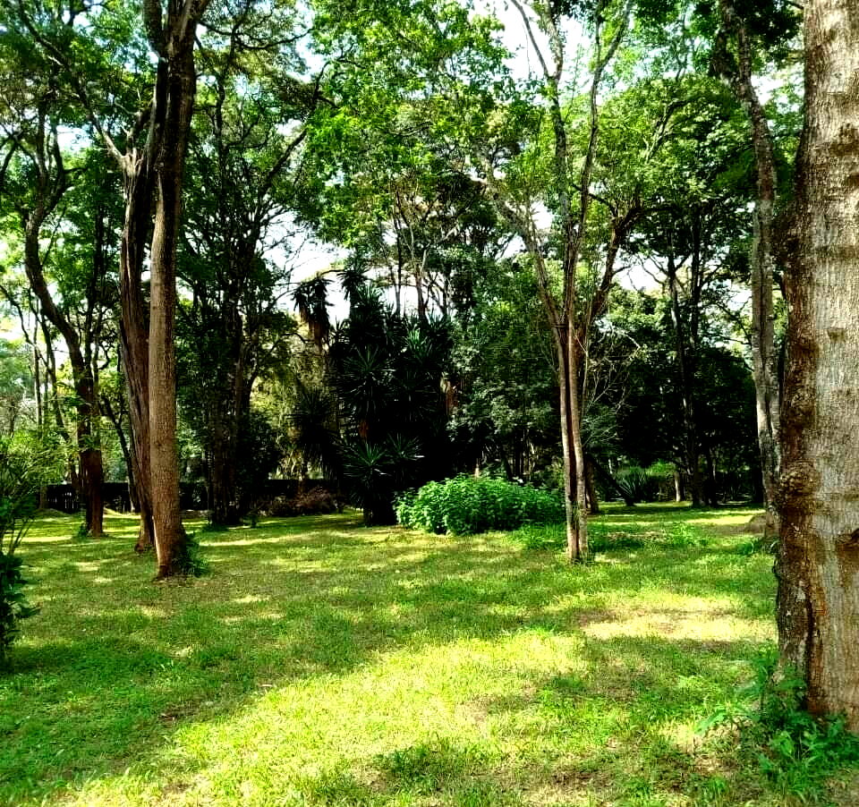 1 Acre Plot in Karen at KSh 75M