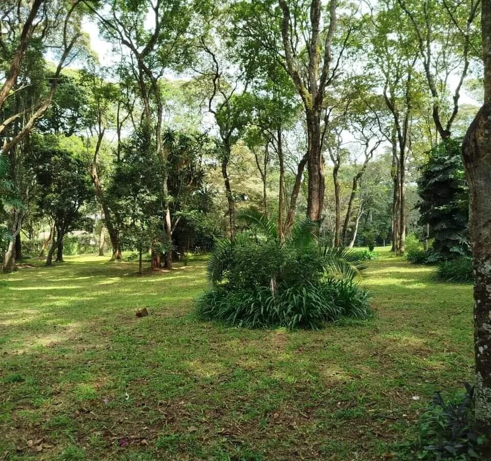 1 Acre Plot in Karen at KSh 75M