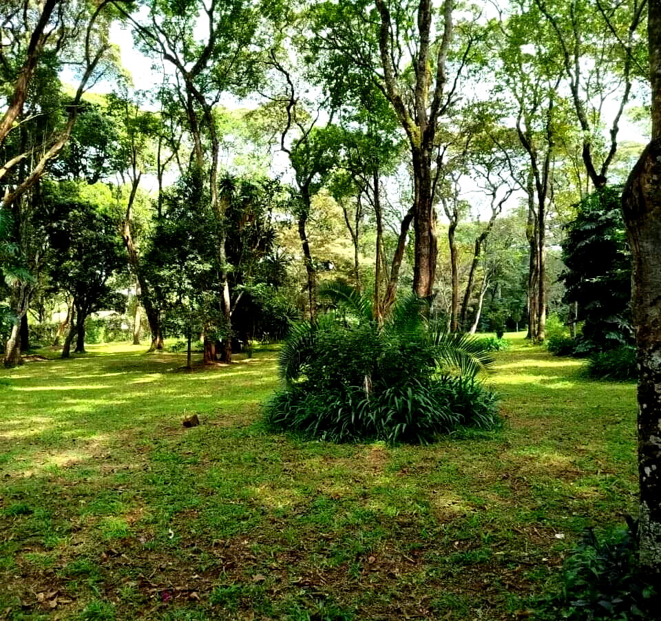 1 Acre Plot in Karen at KSh 75M