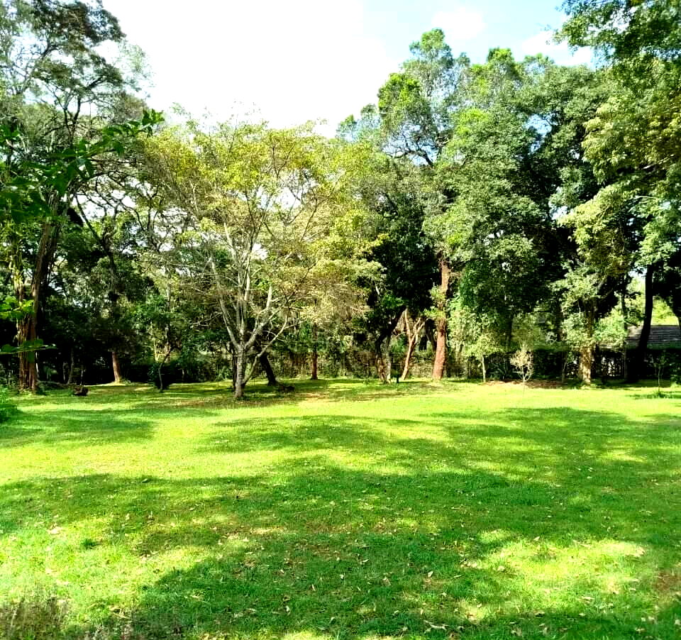 1 Acre Plot in Karen at KSh 75M
