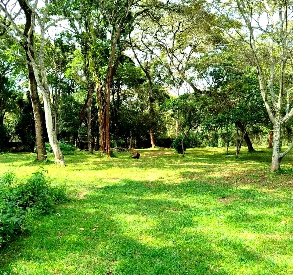 1 Acre Plot in Karen at KSh 75M