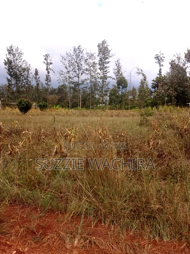 Commercial Half Acre Land at Kenol for Sale