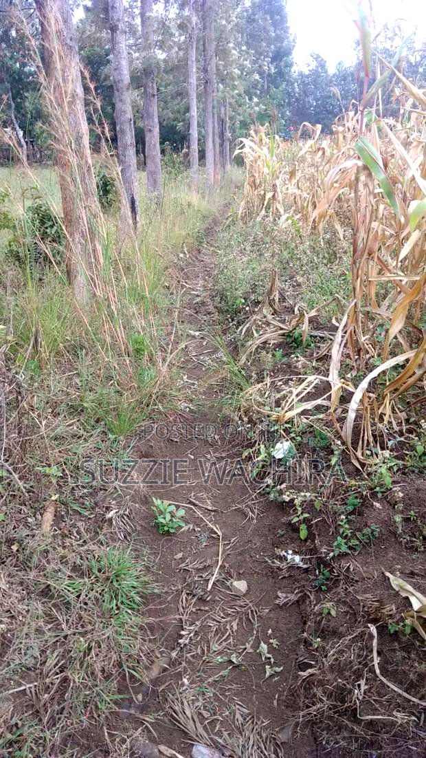 Commercial Half Acre Land at Kenol for Sale