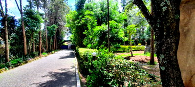 4-Bed Townhouse with DSQ on Marist Lane – Karen