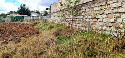1/2 Acre Land for Sale Elgonview Eldoret - Image 3