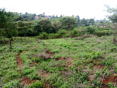 Prime Redsoil Half Acre Plot at Karen View, Matasia - Image 4
