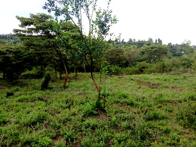 Prime Redsoil Half Acre Plot at Karen View, Matasia - Image 2