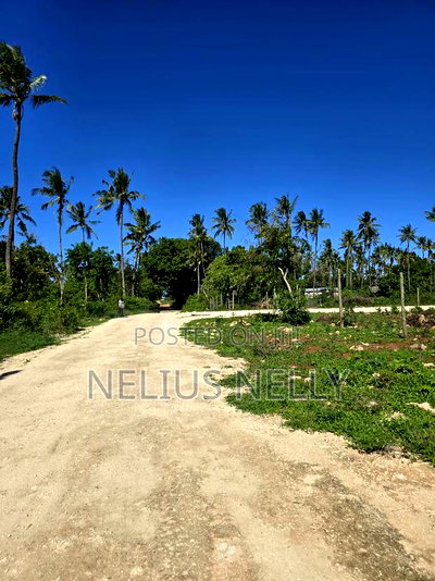 Tezo 1/8 Acres Plots Walking Distance From Highway - Image 1