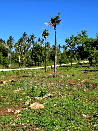 Tezo 1/8 Acres Plots Walking Distance From Highway - Image 2