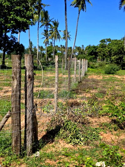 Tezo 1/8 Acres Plots Walking Distance From Highway - Image 4