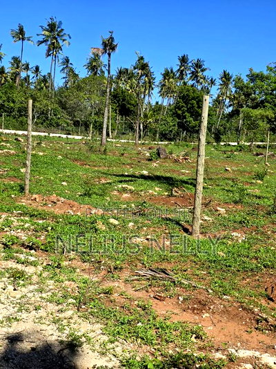 Tezo 1/8 Acres Plots Walking Distance From Highway - Image 3