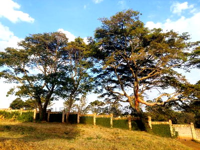 1/8 Acre Golf Front Plot - Image 4