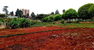2-Acre Commercial Plot in Loresho