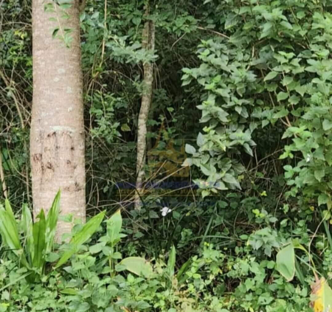 Half Acre in Karen at KSh 45M