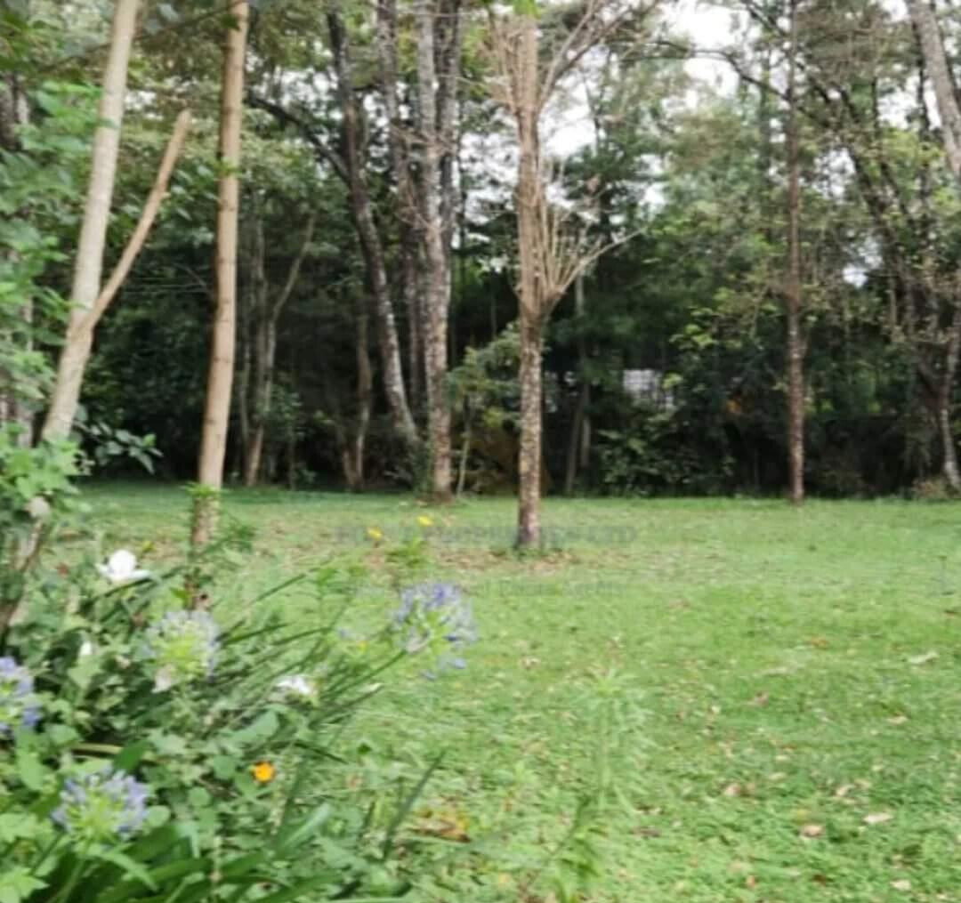 Half Acre in Karen at KSh 45M