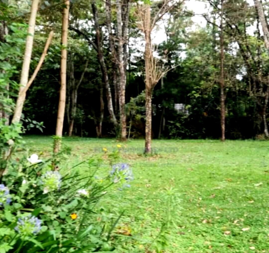 Half Acre in Karen at KSh 45M