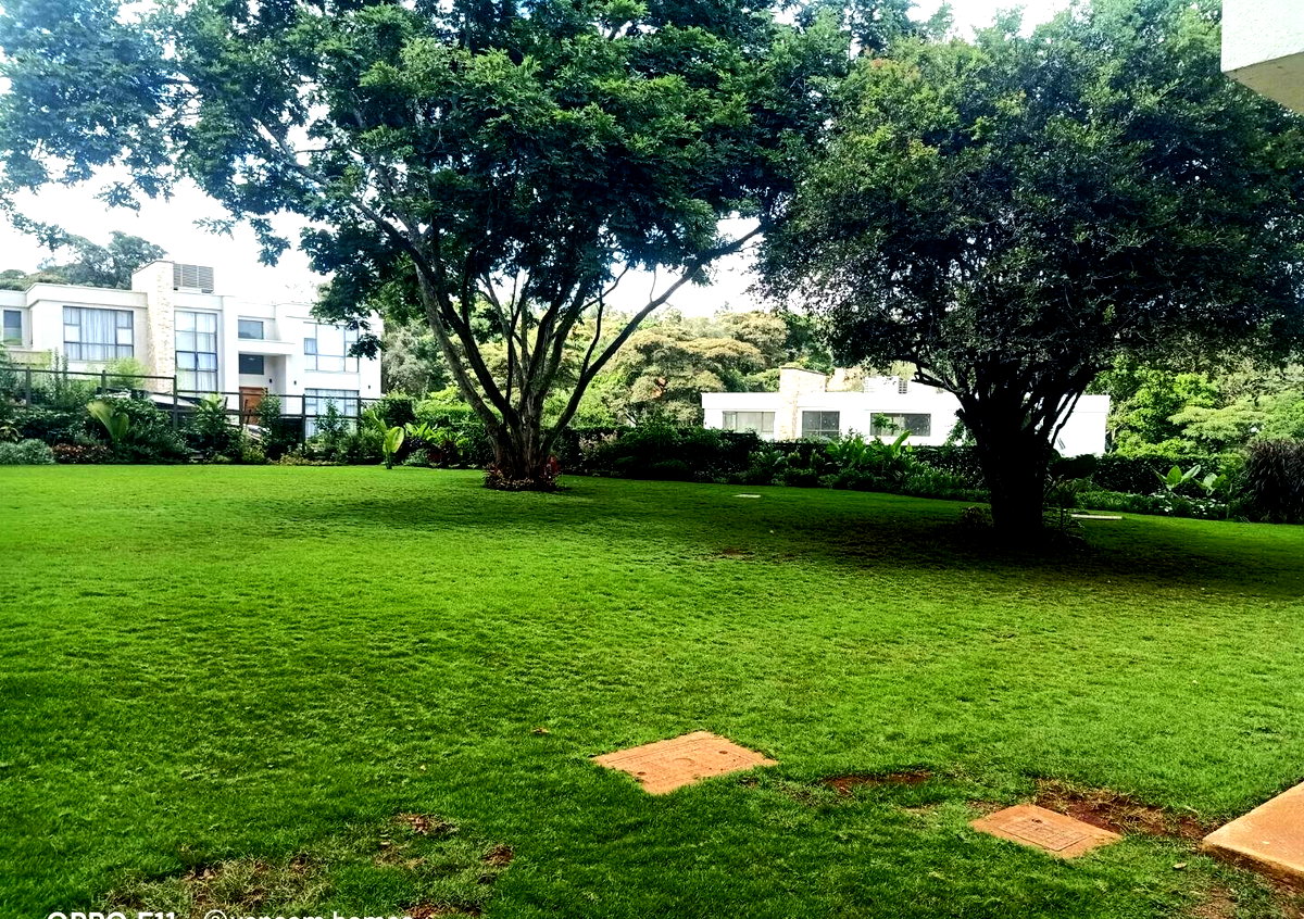 5-Bed Townhouse with DSQ for 2 in Gated Karen Estate