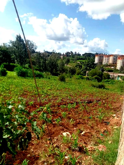 50 by 100 Plot for Sale at Kiamumbi - Image 1