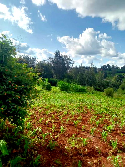 50 by 100 Plot for Sale at Kiamumbi - Image 2