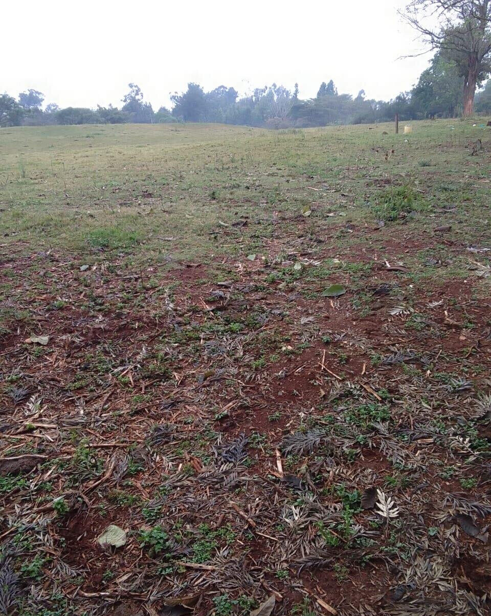 21-Acre Karen Land at KSh 70M