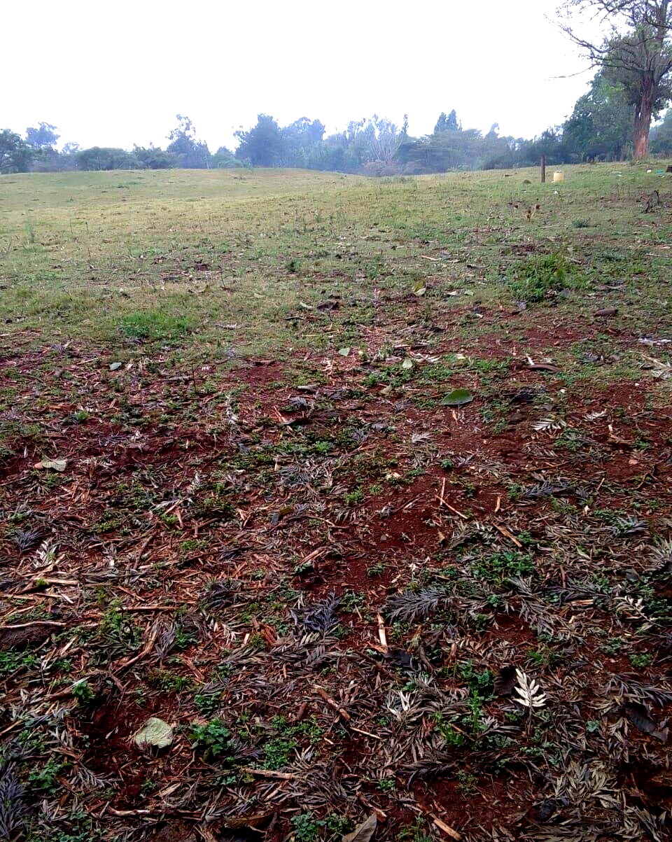 21-Acre Karen Land at KSh 70M