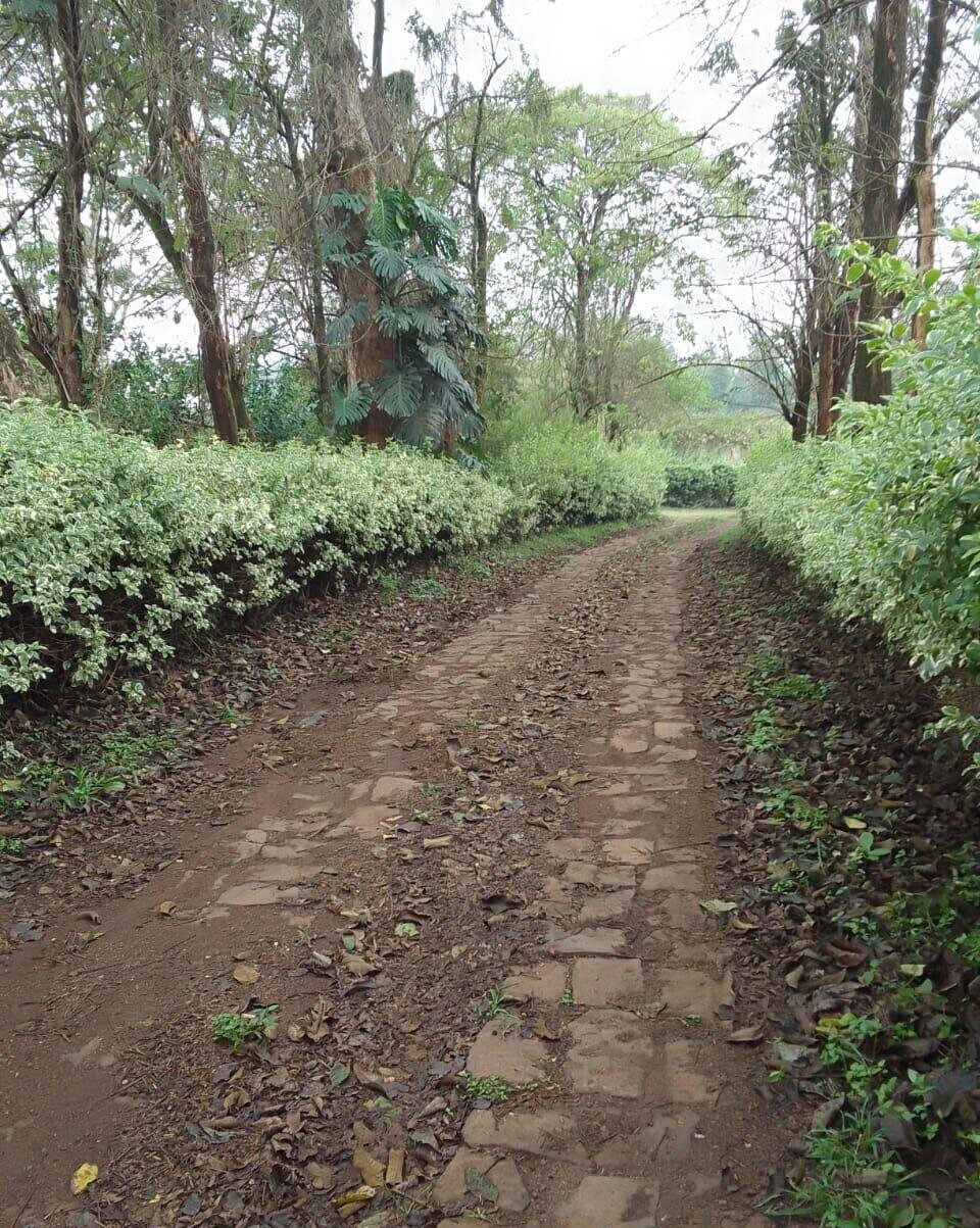 21-Acre Karen Land at KSh 70M