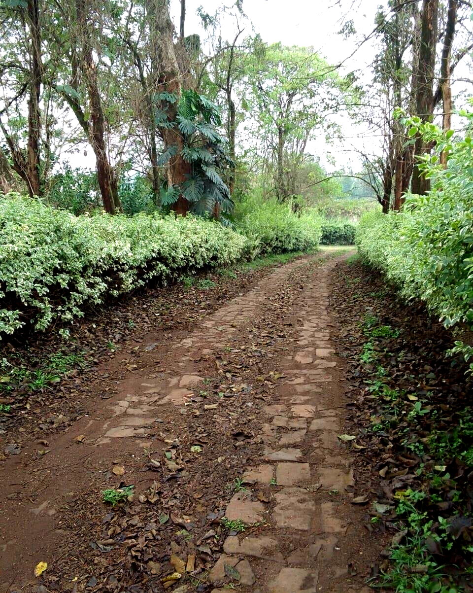 21-Acre Karen Land at KSh 70M