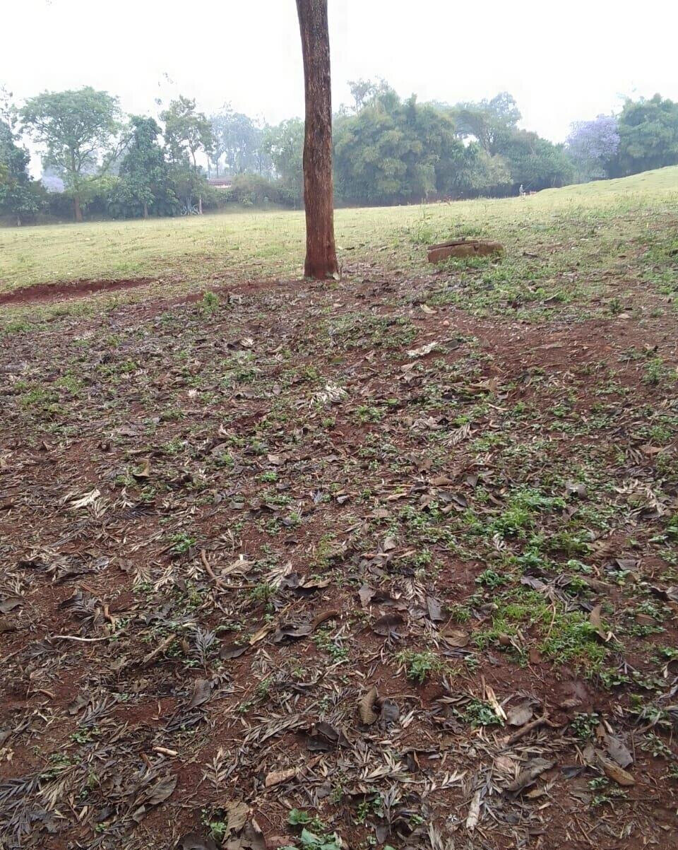 21-Acre Karen Land at KSh 70M