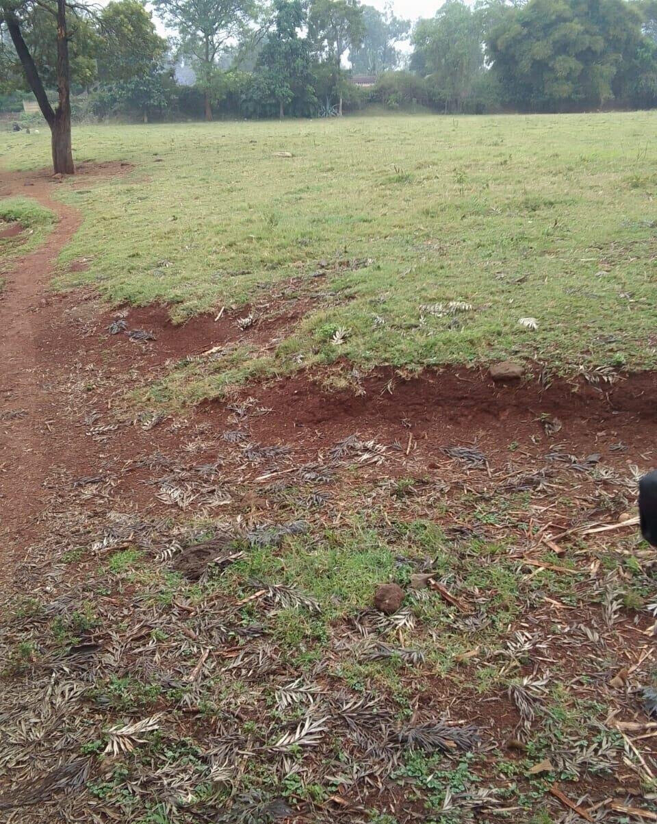 21-Acre Karen Land at KSh 70M