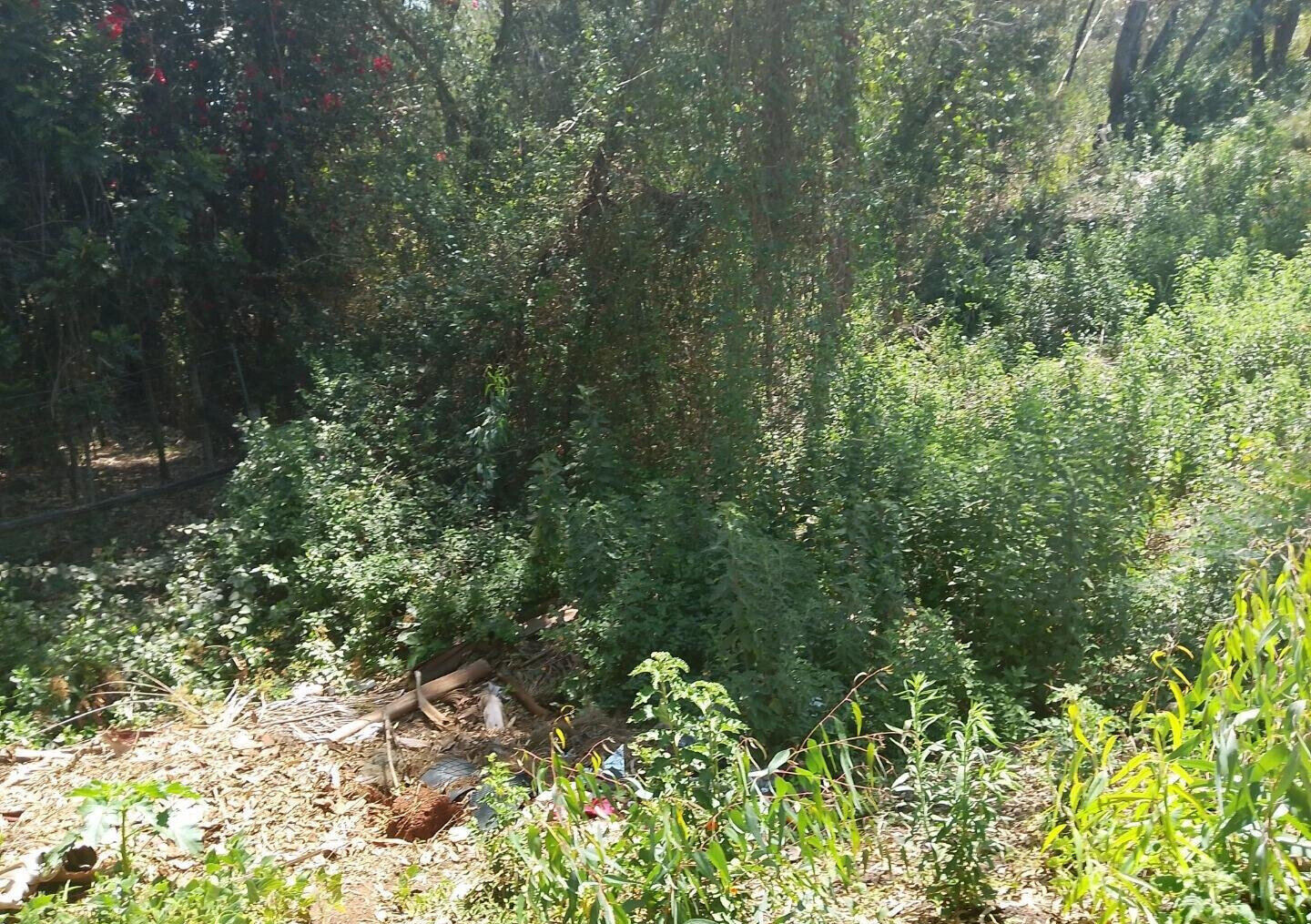 Half Acre Garden Plot in Karen
