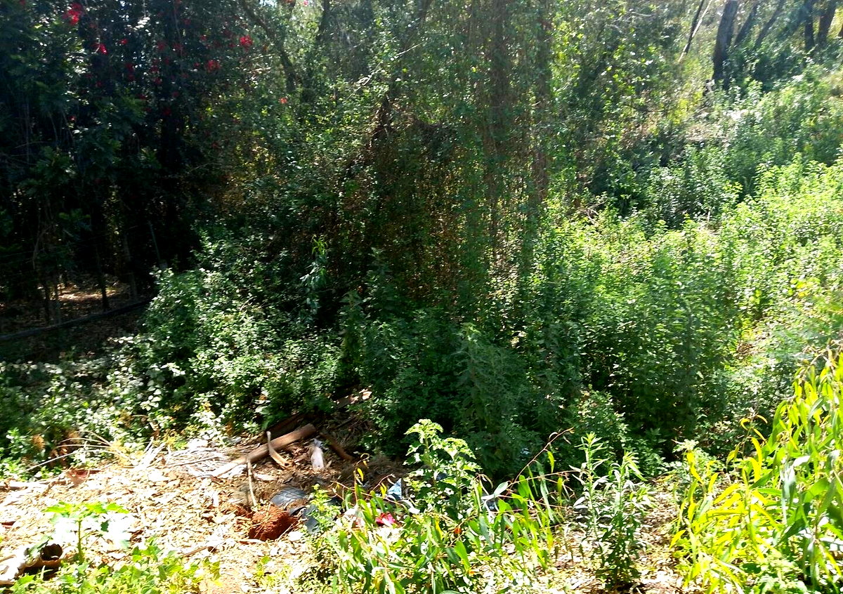Half Acre Garden Plot in Karen