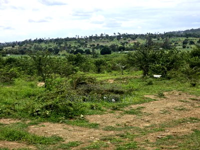 Plots Touching Mariakani ~ Kaloleni ~ Mavueni Bypass - Image 7