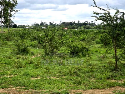 Plots Touching Mariakani ~ Kaloleni ~ Mavueni Bypass - Image 4