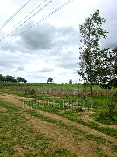 Plots Touching Mariakani ~ Kaloleni ~ Mavueni Bypass - Image 6
