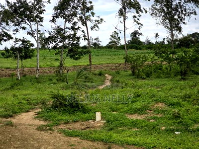 Plots Touching Mariakani ~ Kaloleni ~ Mavueni Bypass - Image 3