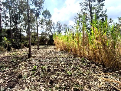 Quarter Acre Plot for Sale in Ngong, Matasia Merisho Naer Tarmac - Image 3