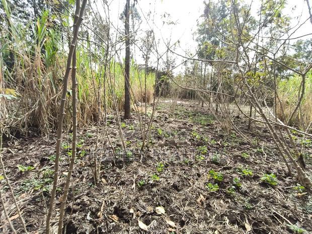 Quarter Acre Plot for Sale in Ngong, Matasia Merisho Naer Tarmac
