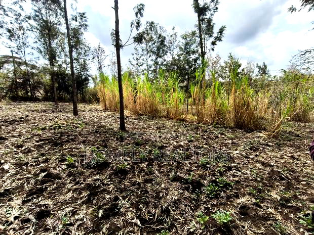 Quarter Acre Plot for Sale in Ngong, Matasia Merisho Naer Tarmac