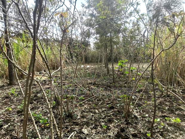Quarter Acre Plot for Sale in Ngong, Matasia Merisho Naer Tarmac