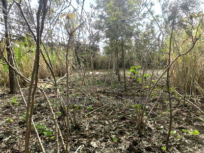 Quarter Acre Plot for Sale in Ngong, Matasia Merisho Naer Tarmac - Image 4