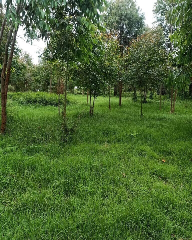 25-Acre Land with River Frontage