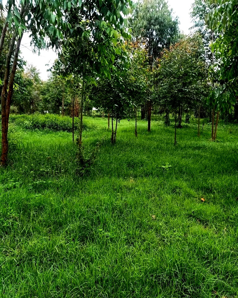 25-Acre Land with River Frontage